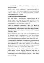 Eseja 'Angļu valodas loma globālajā sabiedrībā: komunikācija, izglītība un kultūra', 3.