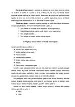 Referāts 'Drošības tehniskie līdzekļi', 11.