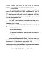 Referāts 'Drošības tehniskie līdzekļi', 15.