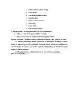 Referāts 'Drošības tehniskie līdzekļi', 17.