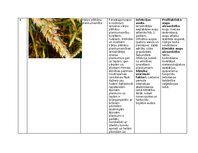 Konspekts 'Praktiskais darbs augu aizsardzībā', 8.