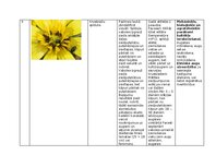 Konspekts 'Praktiskais darbs augu aizsardzībā', 13.
