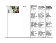 Konspekts 'Praktiskais darbs augu aizsardzībā', 18.