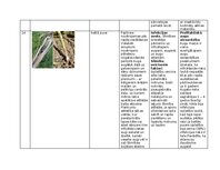Konspekts 'Praktiskais darbs augu aizsardzībā', 19.