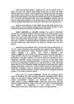 Referāts 'Amerikas senās kultūras (maiji, inki, acteki)', 6.