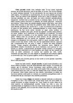 Referāts 'Amerikas senās kultūras (maiji, inki, acteki)', 8.