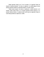 Referāts 'SIA "Saldus pārtikas kombināts" gada pārskatu analīze', 16.