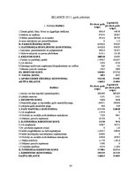 Referāts 'SIA "Saldus pārtikas kombināts" gada pārskatu analīze', 24.