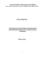 Diplomdarbs 'Fizioterapijas izglītošanas programmas izmantošanas iespējas pie "saziņas kakla"', 1.