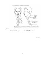 Diplomdarbs 'Fizioterapijas izglītošanas programmas izmantošanas iespējas pie "saziņas kakla"', 72.