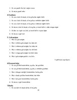 Diplomdarbs 'Fizioterapijas izglītošanas programmas izmantošanas iespējas pie "saziņas kakla"', 83.