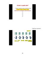 Diplomdarbs 'Fizioterapijas izglītošanas programmas izmantošanas iespējas pie "saziņas kakla"', 102.