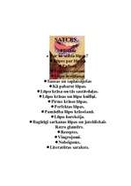 Referāts 'Lūpas', 2.