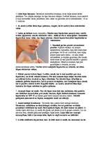 Referāts 'Lūpas', 9.