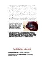 Referāts 'Lūpas', 16.