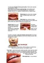 Referāts 'Lūpas', 17.