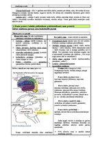 Konspekts 'Valodas un runas psiholoģija', 5.