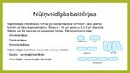 Prezentācija 'Baktērijas', 8.
