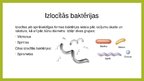 Prezentācija 'Baktērijas', 10.