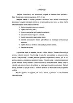 Diplomdarbs 'Komunikāciju stili personiskajā izaugsmē un komandas darba pilnveidē', 3.