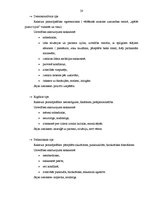 Diplomdarbs 'Komunikāciju stili personiskajā izaugsmē un komandas darba pilnveidē', 20.