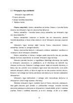 Referāts 'Vērtspapīru tirgus', 13.