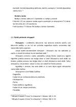 Referāts 'Vērtspapīru tirgus', 15.