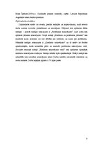 Diplomdarbs 'Nokavējums kā neatļauta darbība saistību neizpildē', 9.