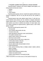 Prakses atskaite 'Prakses atskaite tūrisma uzņēmējdarbībā', 17.