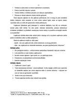 Prakses atskaite 'Prakses atskaite tūrisma uzņēmējdarbībā', 21.