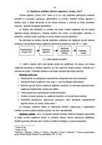 Prakses atskaite 'Prakses atskaite tūrisma uzņēmējdarbībā', 46.