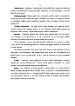 Prakses atskaite 'Prakses atskaite tūrisma uzņēmējdarbībā', 51.