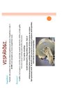 Prezentācija 'Magnētiskā rezonanse', 2.