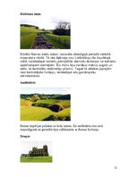 Referāts 'Lielbritānija', 12.