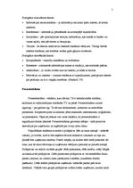 Referāts 'Prezentreklāma', 5.