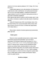 Referāts 'Prezentreklāma', 9.