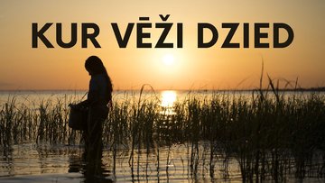 Prezentācija 'Prezentācija par izlasīto grāmatu: Kur vēži dzied', 1.