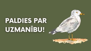 Prezentācija 'Prezentācija par izlasīto grāmatu: Kur vēži dzied', 12.