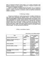 Referāts 'Uzņēmējdarbības plānošana', 12.