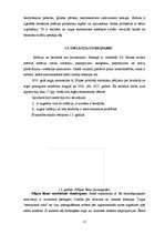 Referāts 'Bezdarba stāvoklis Jelgavā', 15.