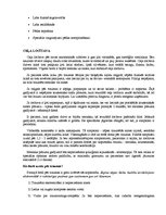 Konspekts 'Biežākās traumas futbolā un to profilakse', 2.