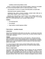 Konspekts 'Biežākās traumas futbolā un to profilakse', 3.