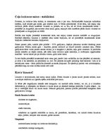 Konspekts 'Biežākās traumas futbolā un to profilakse', 5.