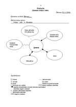 Konspekts 'Sociālā gadījuma risināšana', 4.