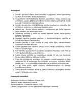 Referāts 'Literārās pasakas žanrs, tā veidošanās un attīstība', 5.