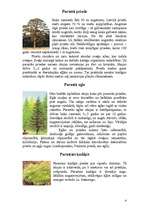 Referāts 'Kailsēkļi', 4.