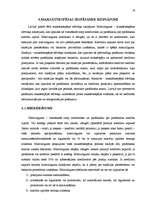 Referāts 'Maksātnespējas būtība', 16.