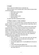 Referāts 'Mārketinga pētījums - smaržas', 6.