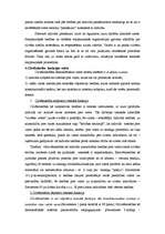 Konspekts 'Cilvēktiesības', 5.