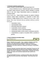 Konspekts 'Cilvēktiesības', 7.